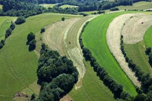 foto Primož Hieng - Gabrje pod Špilkom